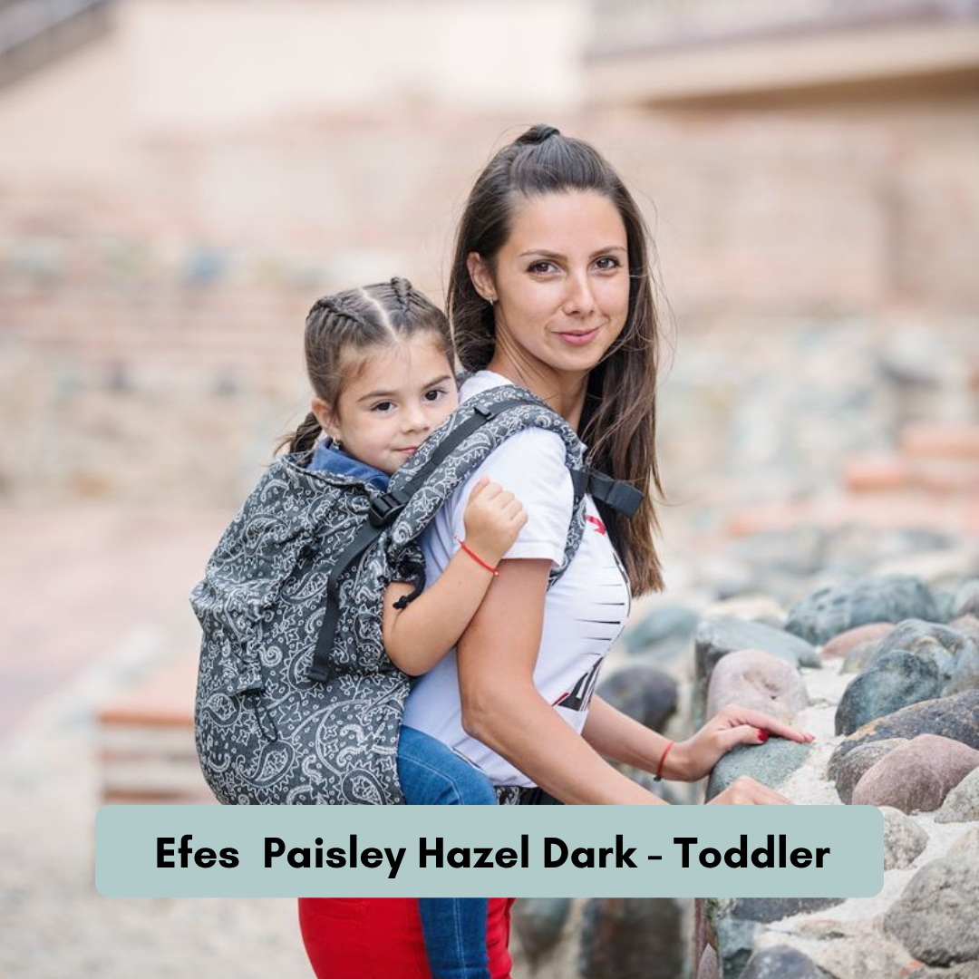 Neko Switch Trage mit verstellbarem Rückenpanel und gepolsterten Schultergurten. Efes Paisley Hazel Dark Toddler