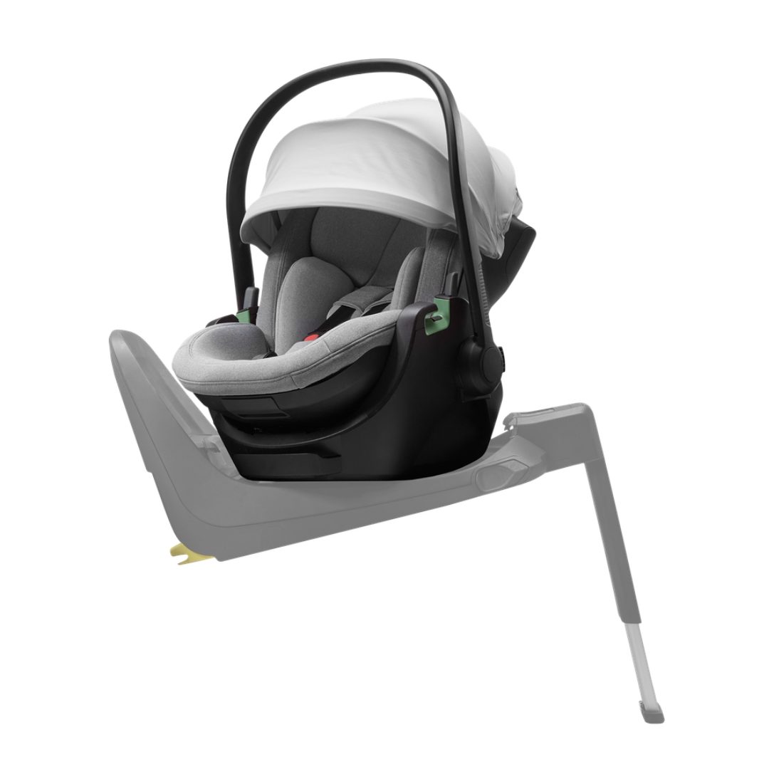 Thule Maple