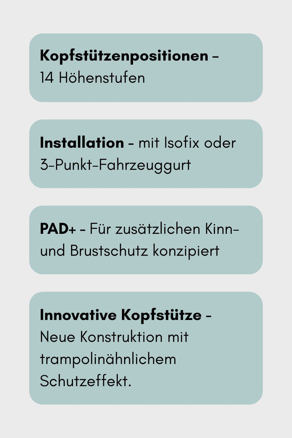 BeSafe Flex FIX 2