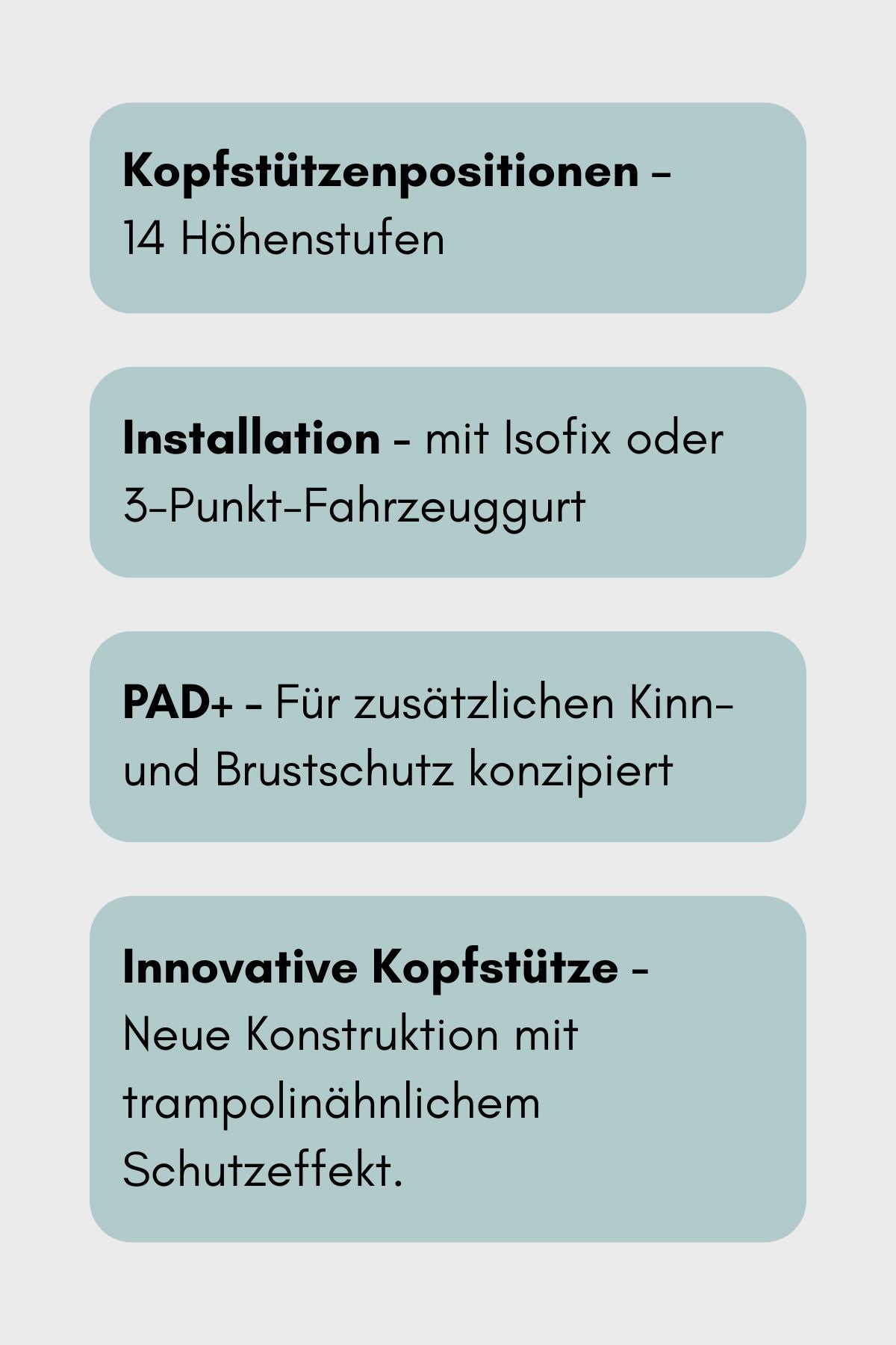 BeSafe Flex FIX 2
